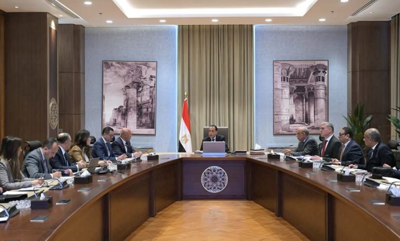 رئيس الوزراء يستعرض مشروعا مقترحا لإنتاج الهيدروجين والأمونيا الخضراء بخليج السويس