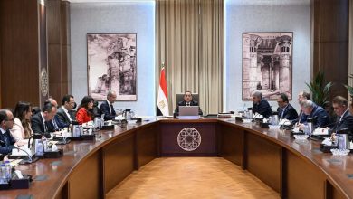 رئيس الوزراء يستعرض المنظومة الالكترونية لإنهاء إجراءات وصول السائحين للمطارات