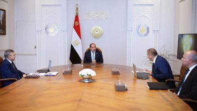 الرئيس السيسي يوجه بتطوير الخدمات الملاحية والبحرية وفق أعلى معايير الجودة