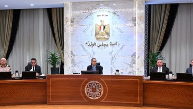 رئيس الوزراء: الجولات في المنطقة الاقتصادية لقناة السويس تدعم توطين الصناعات