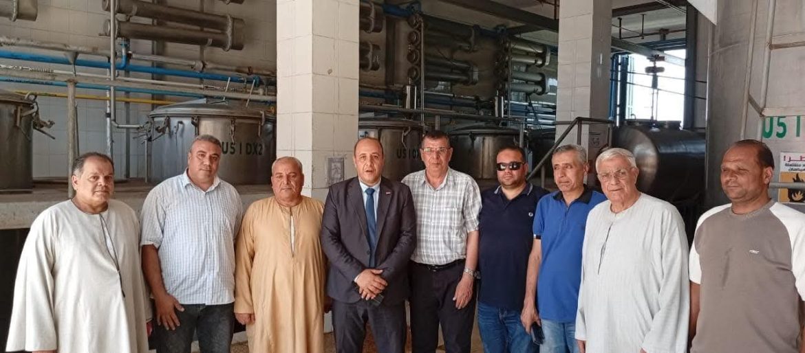 وزارة الزراعة تعلن سعر توريد الياسمين.. تعرف عليه