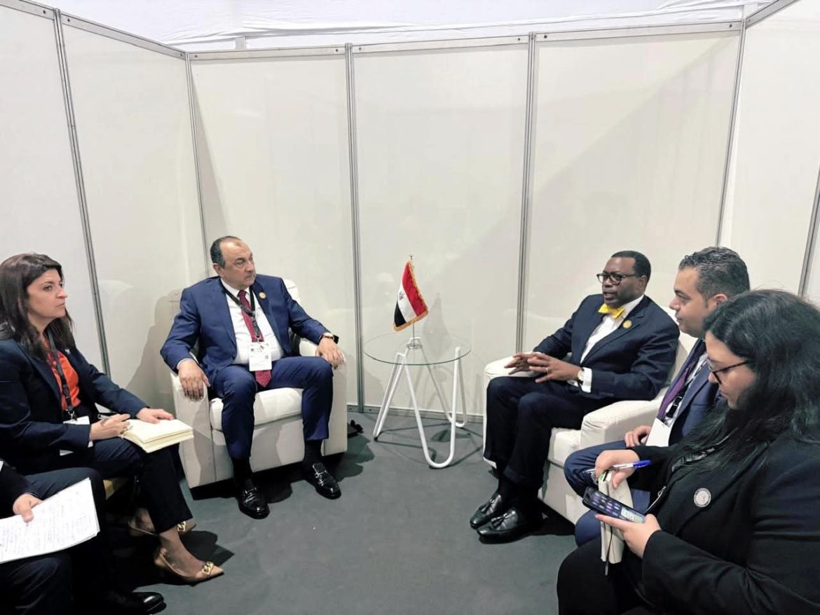 وزير قطاع الأعمال العام يلتقي رئيس مجموعة البنك الأفريقي للتنمية على هامش قمة لوندا