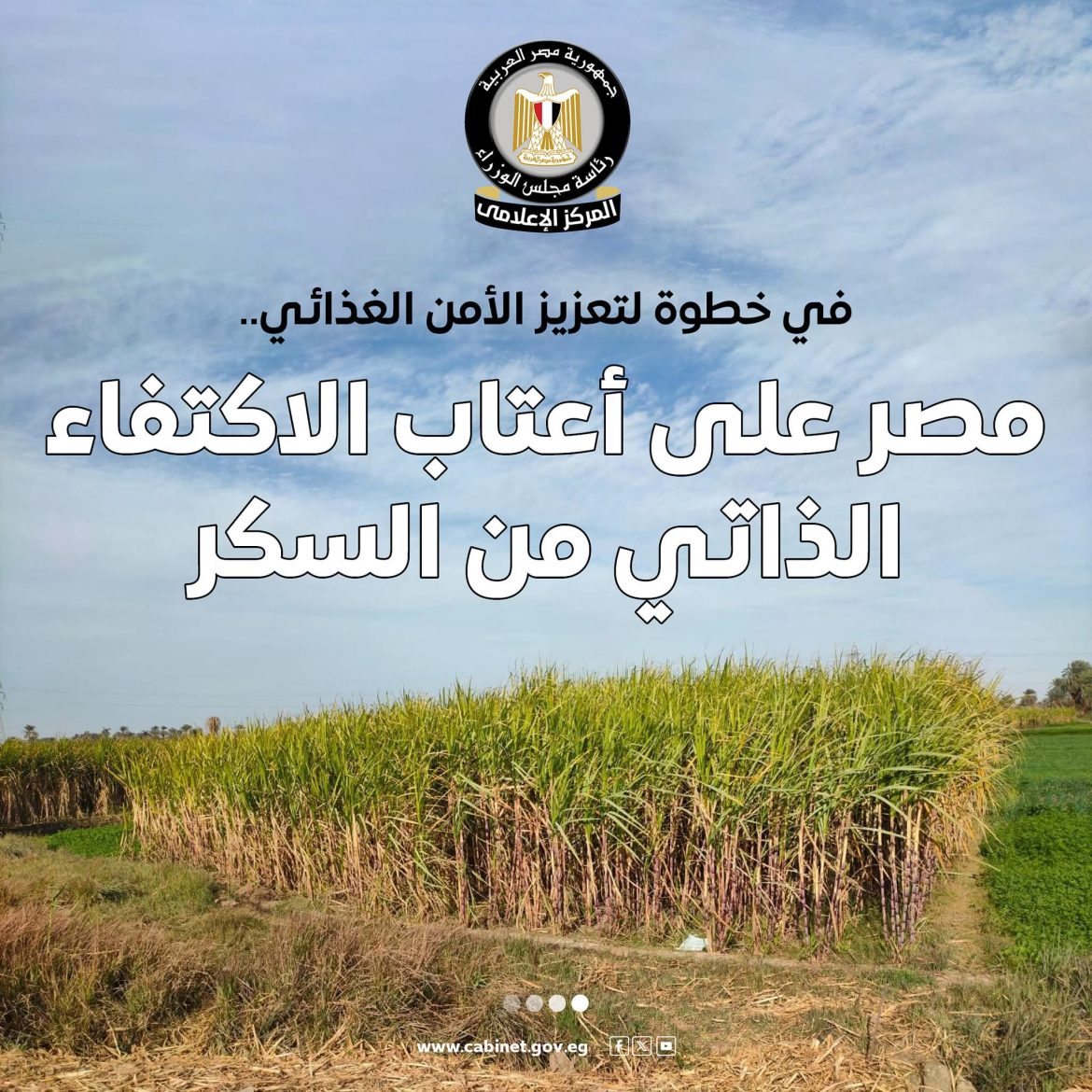 المركز الإعلامي لمجلس الوزراء: بدءًا من 2026 لن تكون مصر بحاجة لاستيراد السكر