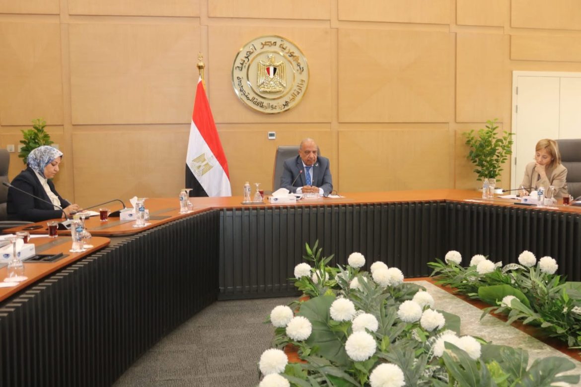 وزير الكهرباء: القطاع الخاص يقود مشروعات استراتيجية الطاقة ودعم التحول الطاقي