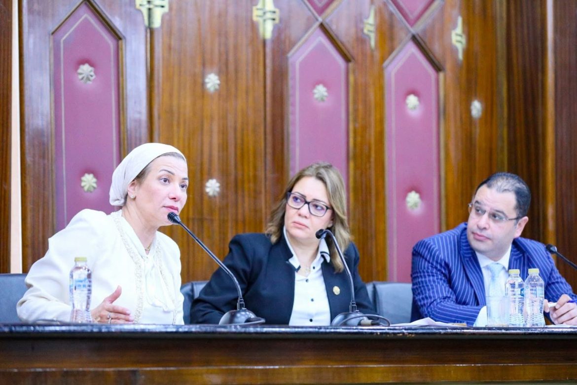 مصر تضع أسسًا قوية للتحول الأخضر وتعمل على توسيع مشاركة القطاع الخاص