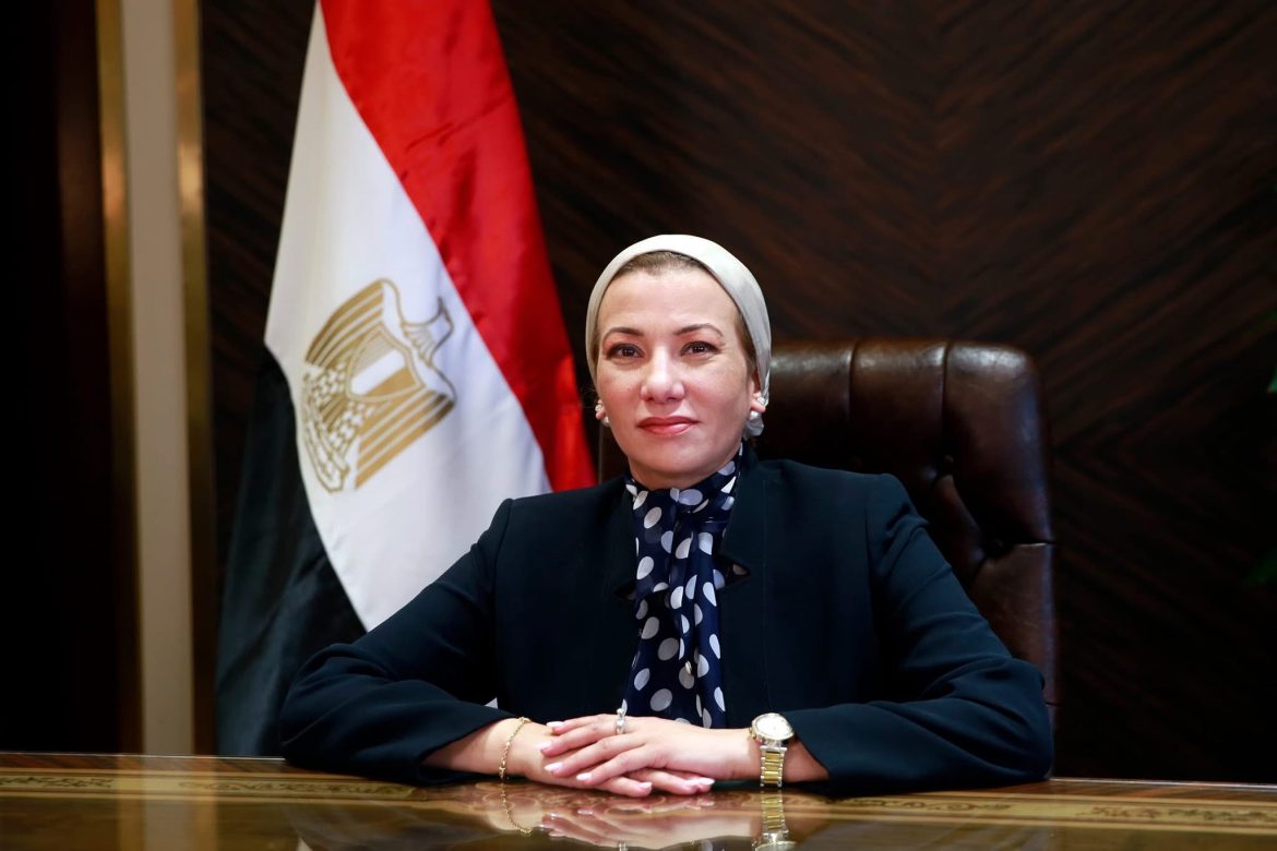 وزيرة البيئة: مصر تعتبر من أوائل الدول في إقليم البحر الأحمر التى تنفذ برنامج رصد وتتبع أسماك القرش