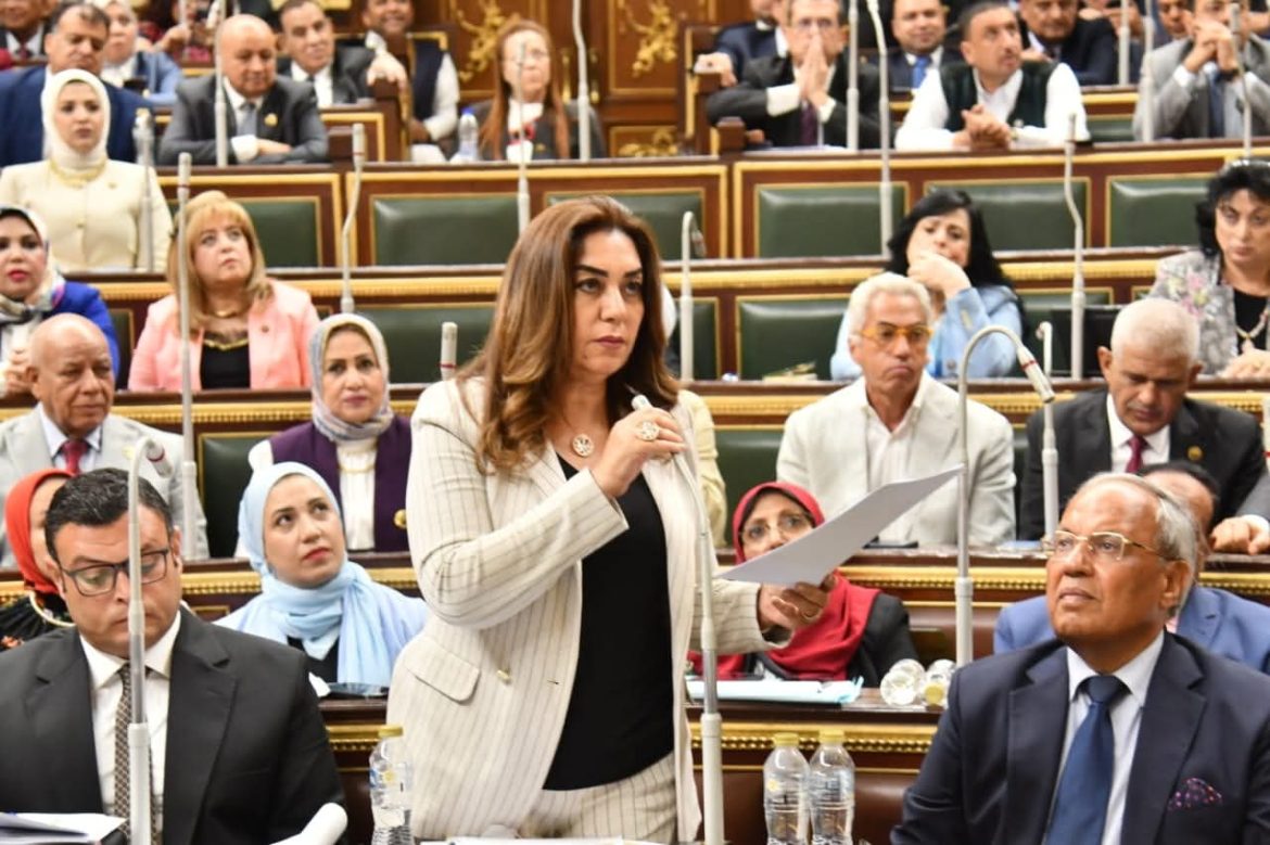 وزيرة التنمية المحلية: سلمنا لمجلس النواب بيانًا تفصيليًا بقطع الأراضي الصالحة لمشروعات الإسكان في مختلف المحافظات