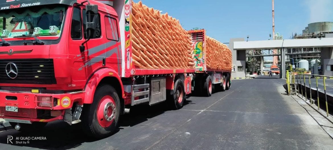 وزير الزراعة: صرف ١٢ مليون شيكارة سماد مدعم للمزارعين