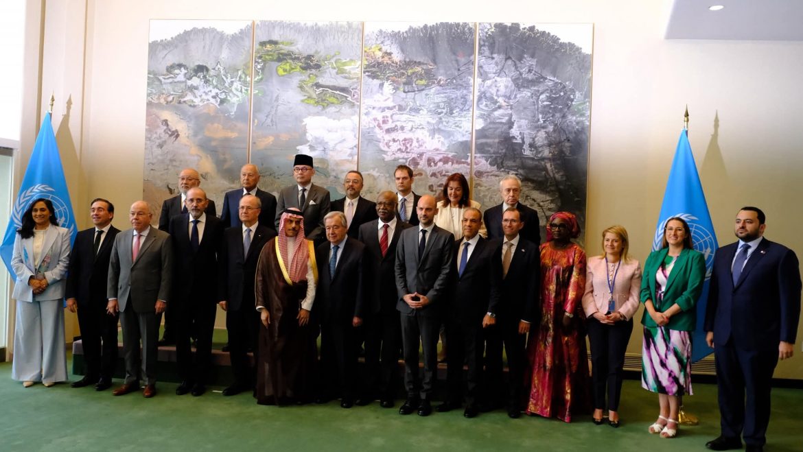 وزير الخارجية يشارك في المؤتمر الدولي للتسوية السلمية لقضية فلسطين وتنفيذ حل الدولتين وزير الخارجية يشارك في المؤتمر الدولي للتسوية السلمية لقضية فلسطين وتنفيذ حل الدولتين