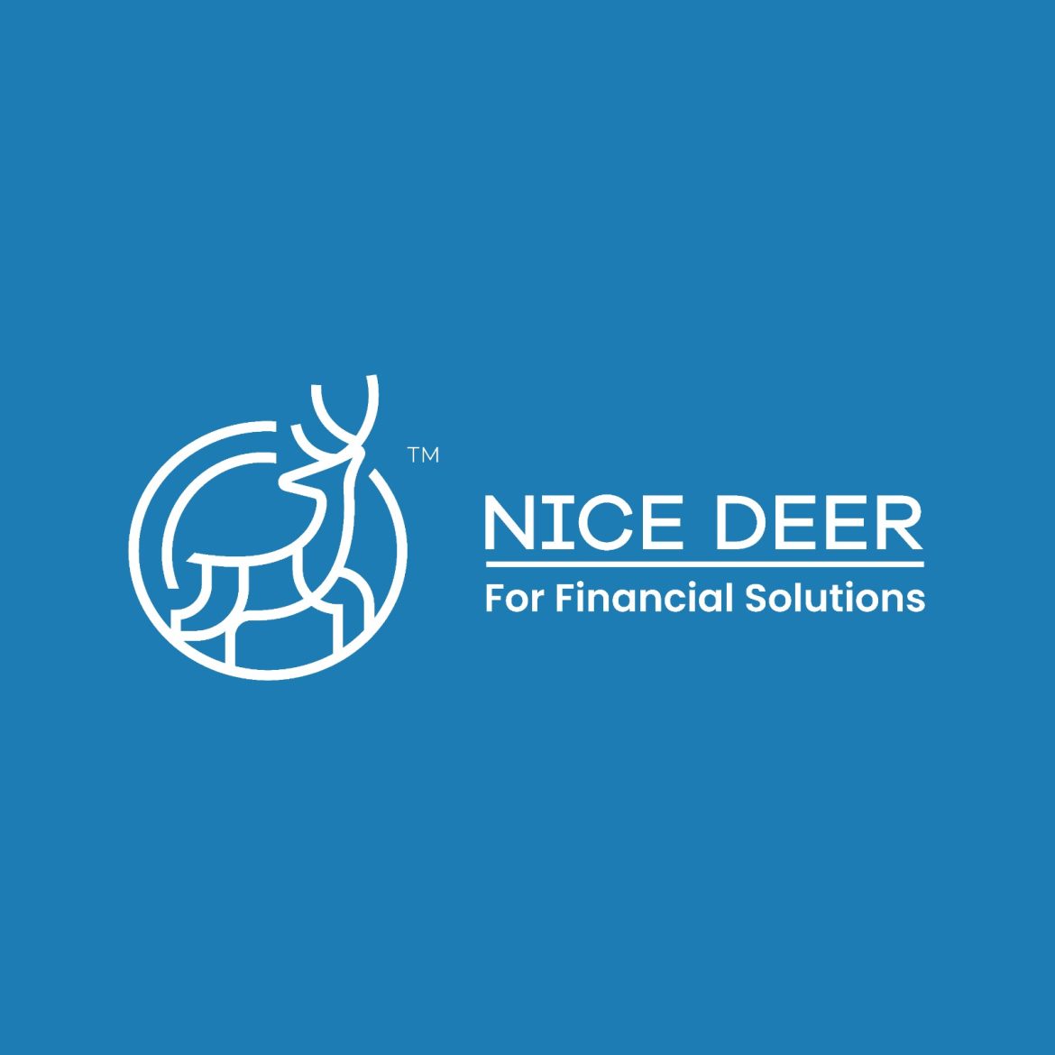 نايس دير تستهدف تخصيم مطالبات تصل إلى 500 مليون جنيه خلال عامين