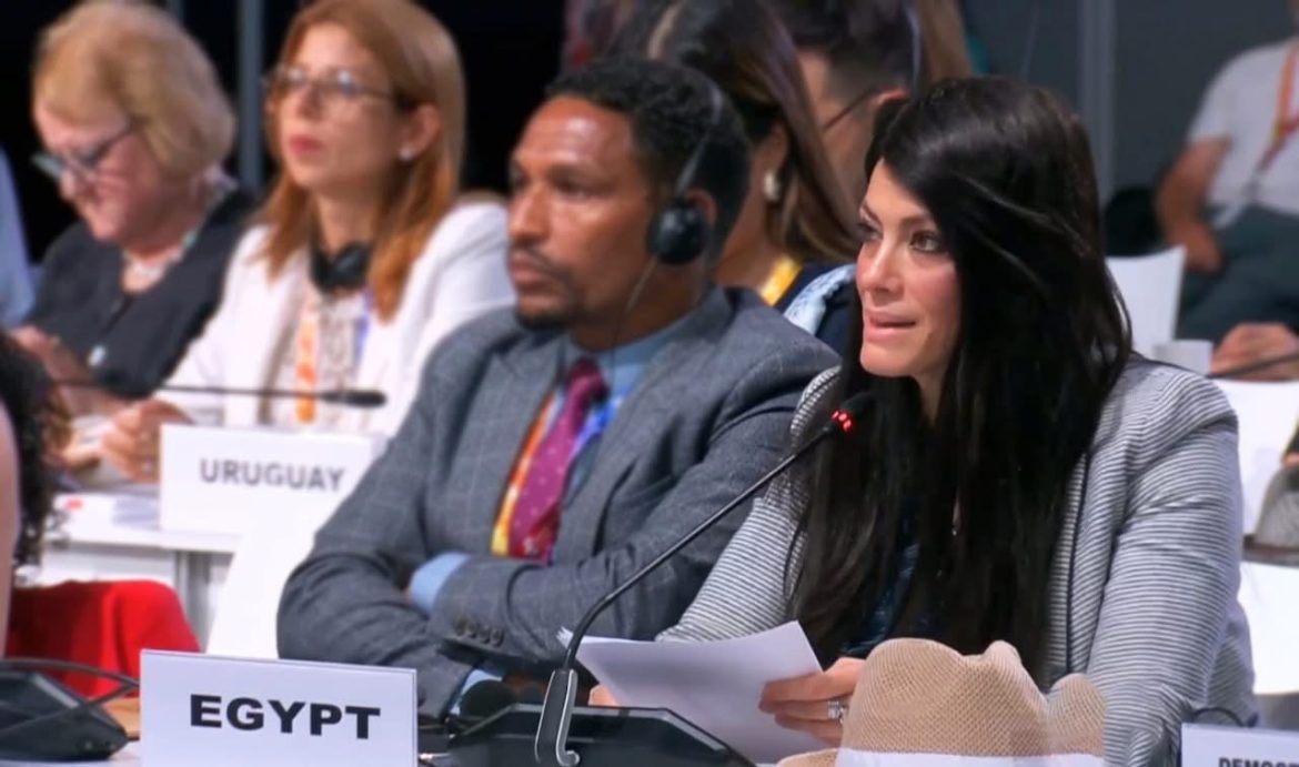 وزيرة التخطيط: الدول النامية والأقل نموًا تتحمل العبء الأكبر من أزمة الديون العالمية مما يتسبب في اتساع فجوات التنمية وزيرة التخطيط: الدول النامية والأقل نموًا تتحمل العبء الأكبر من أزمة الديون العالمية مما يتسبب في اتساع فجوات التنمية