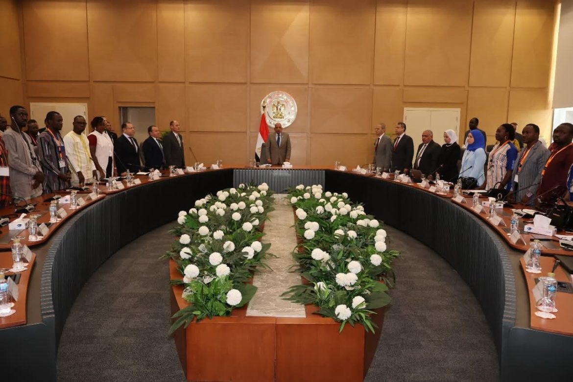 وزير الكهرباء: نعمل على تعزيز التعاون مع الدول الإفريقية لنقل الخبرات في إطار الشراكة الدائمة