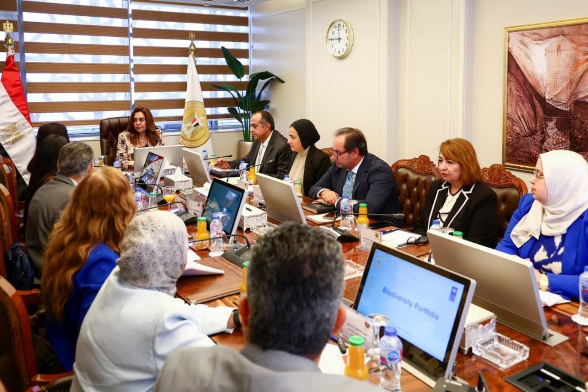 القائم بأعمال وزير البيئة تبحث مجالات التعاون مع ممثلة  برنامج الأمم المتحدة الإنمائي بمصر القائم بأعمال وزير البيئة تبحث مجالات التعاون مع ممثلة  برنامج الأمم المتحدة الإنمائي بمصر