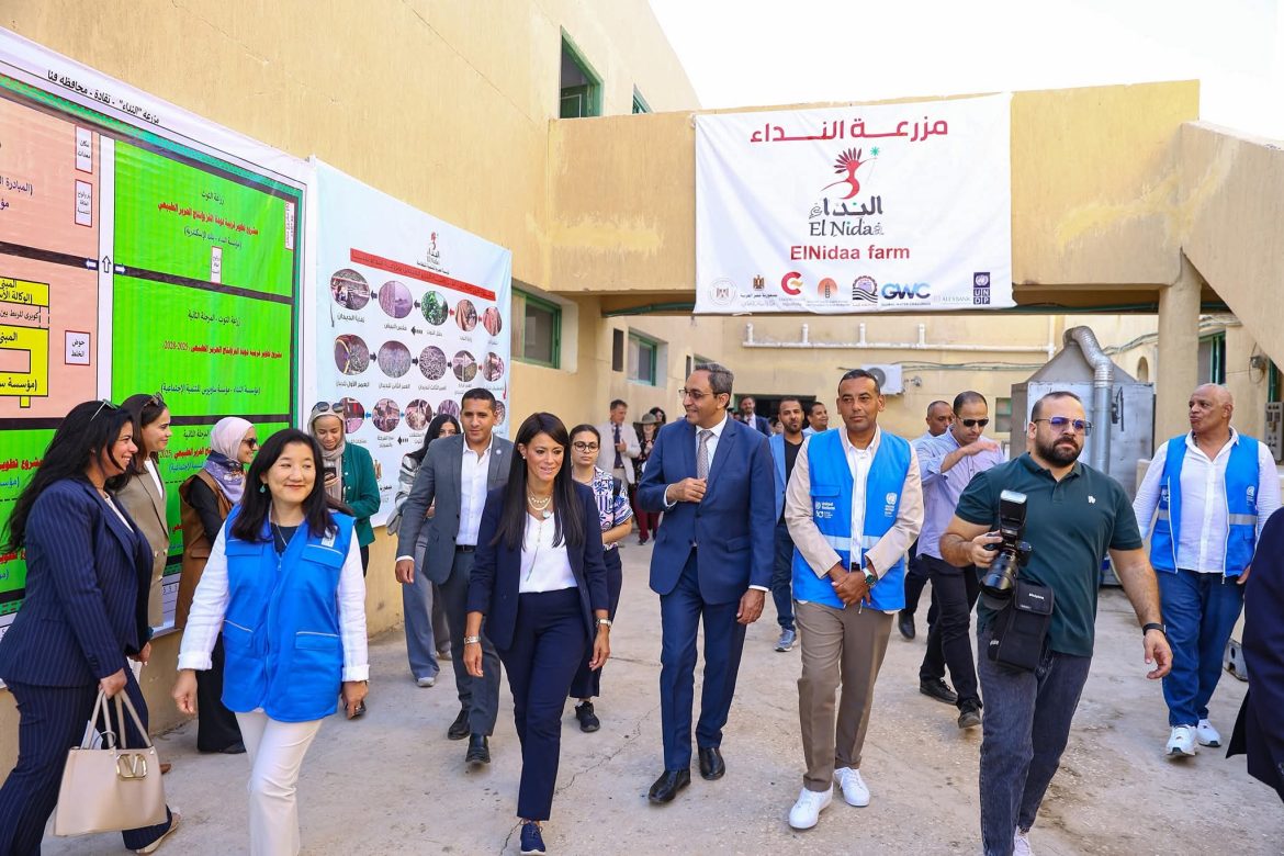 وزيرة التخطيط تُشيد بجهود مؤسسة النداء لتوفير فرص العمل ورفع مستوى معيشة المواطنين وزيرة التخطيط تُشيد بجهود مؤسسة النداء لتوفير فرص العمل ورفع مستوى معيشة المواطنين