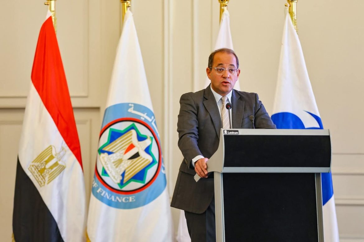 وزير المالية: القطاع الخاص المحلى والأجنبي استحوذ على 65٪ من الاستثمارات  وزير المالية: القطاع الخاص المحلى والأجنبي استحوذ على 65٪ من الاستثمارات