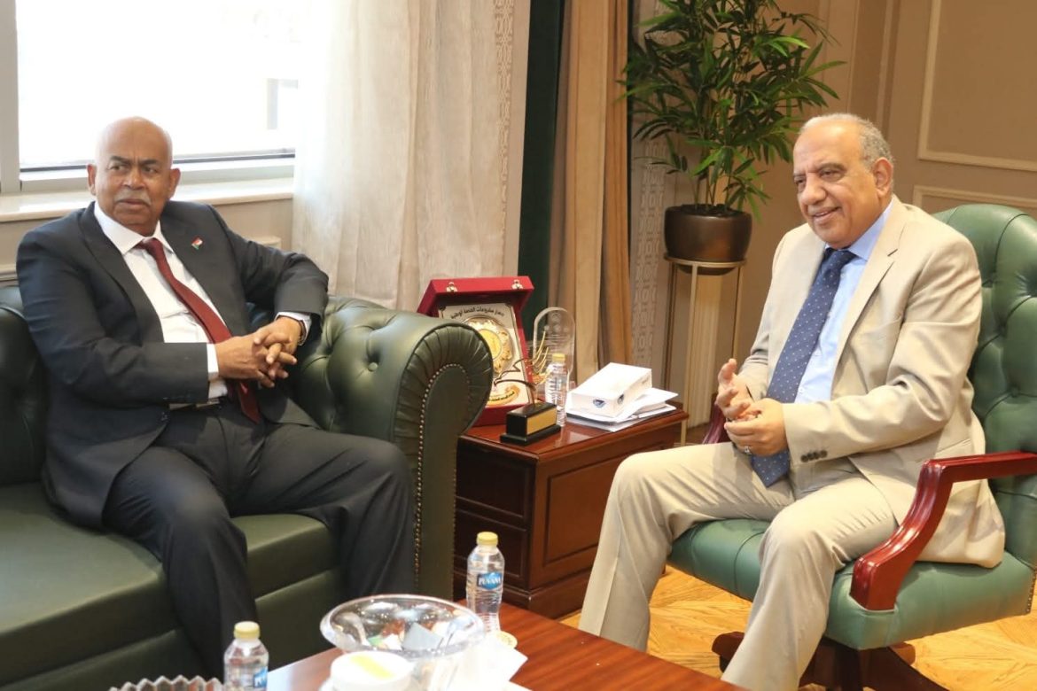 وزير الكهرباء: نعمل مع الأشقاء في السودان على إعادة تأهيل محطات توليد الكهرباء