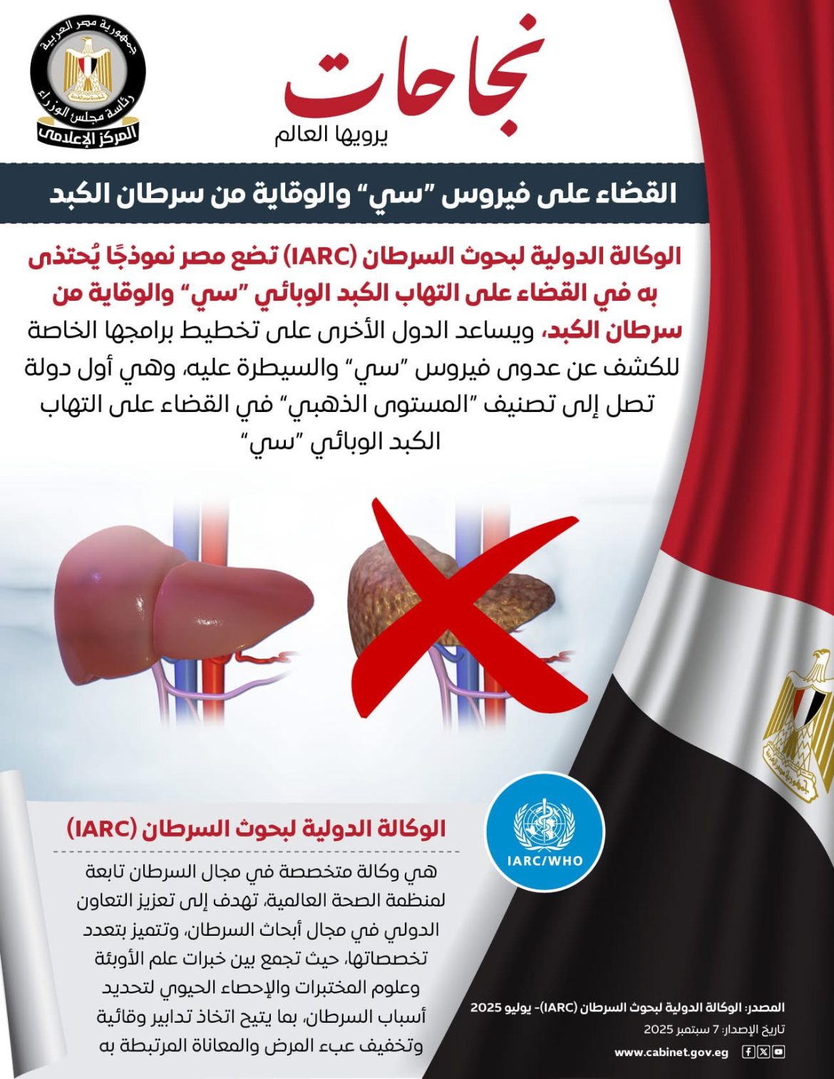 مجلس الوزراء: القضاء على فيروس "سي" والوقاية من سرطان الكبد