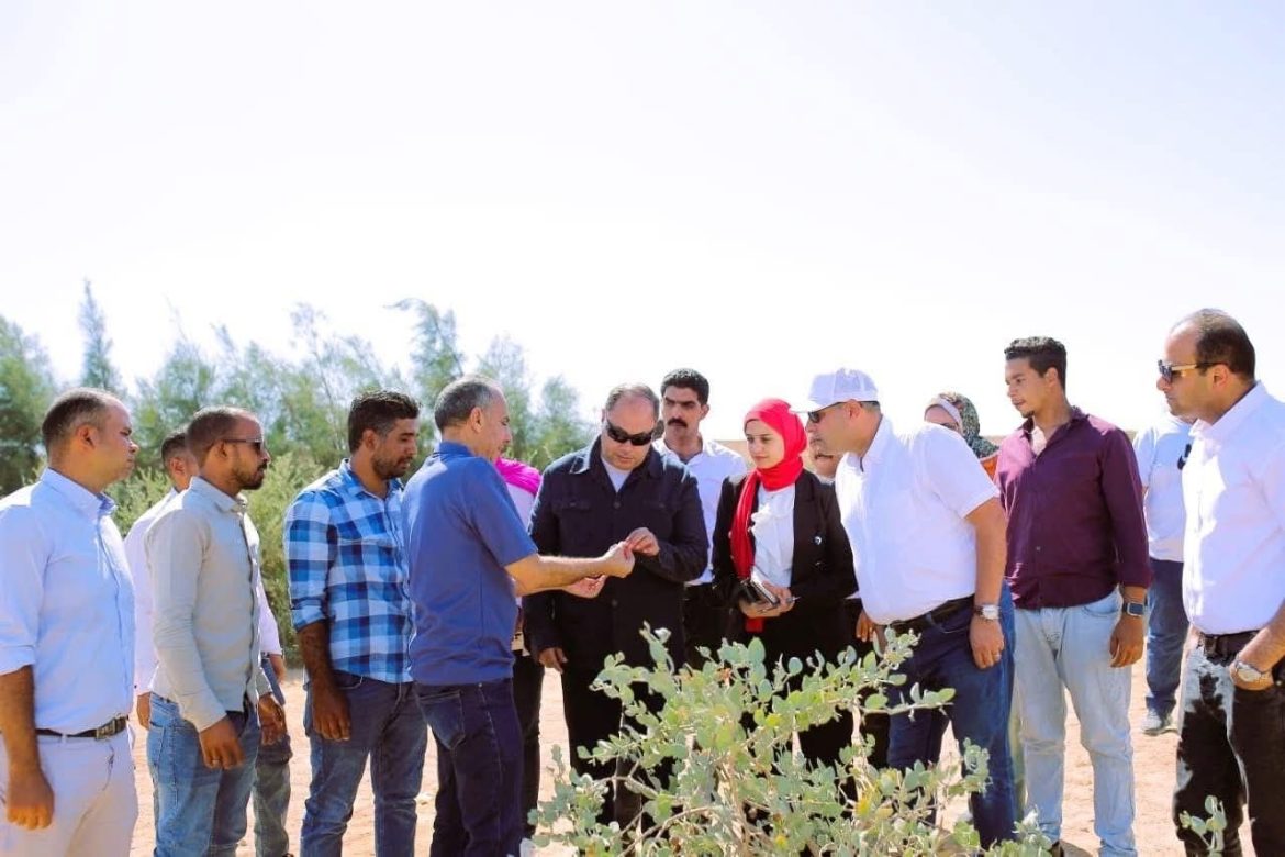 رئيس هيئة تنمية الصعيد يتفقد مشروع زراعة نبات الجوجوبا بالغردقة