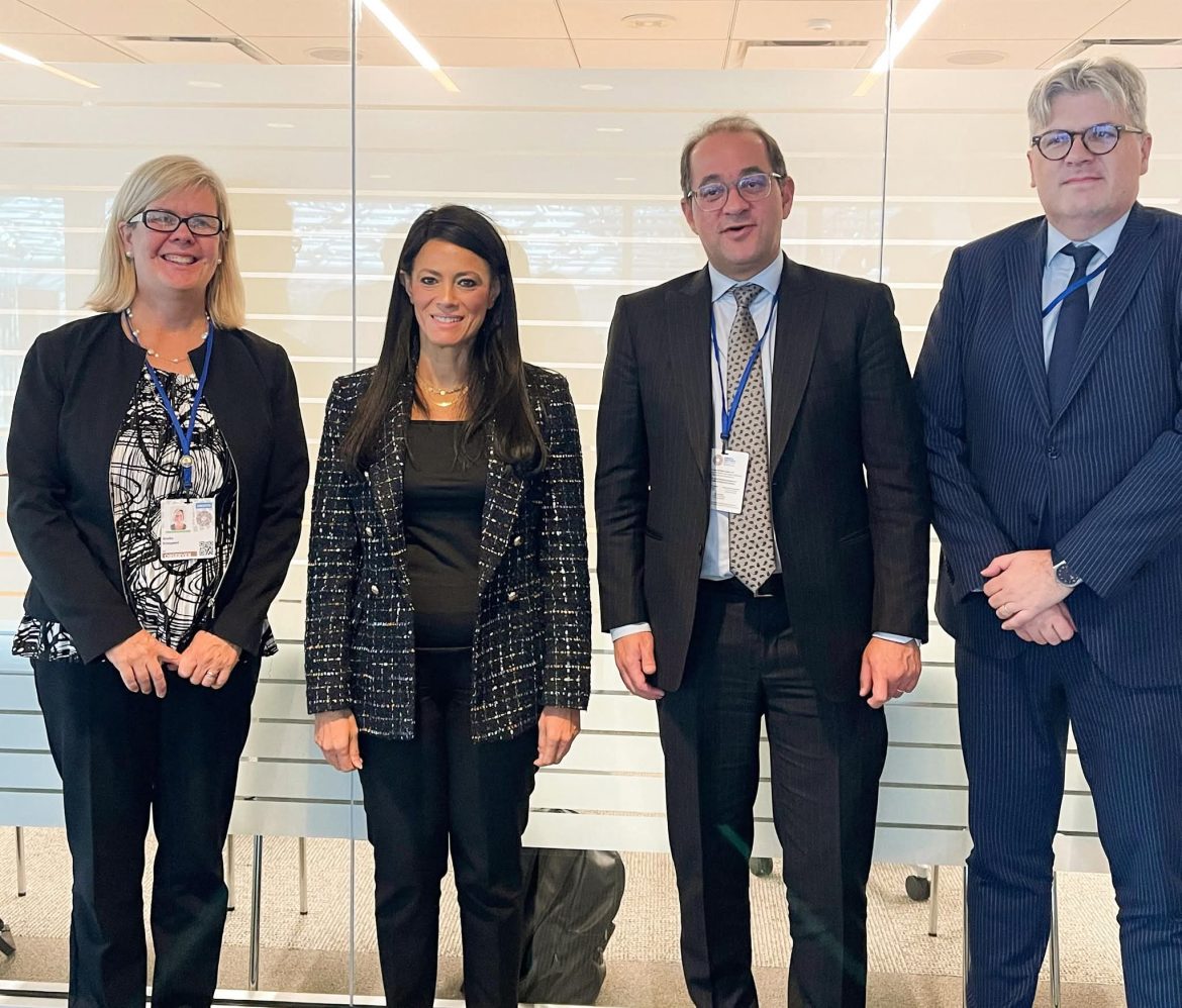 وزيرة التخطيط: أكثر من 700 مليون دولار محفظة ضمانات وكالة (ميجا) للقطاع الخاص في مصر