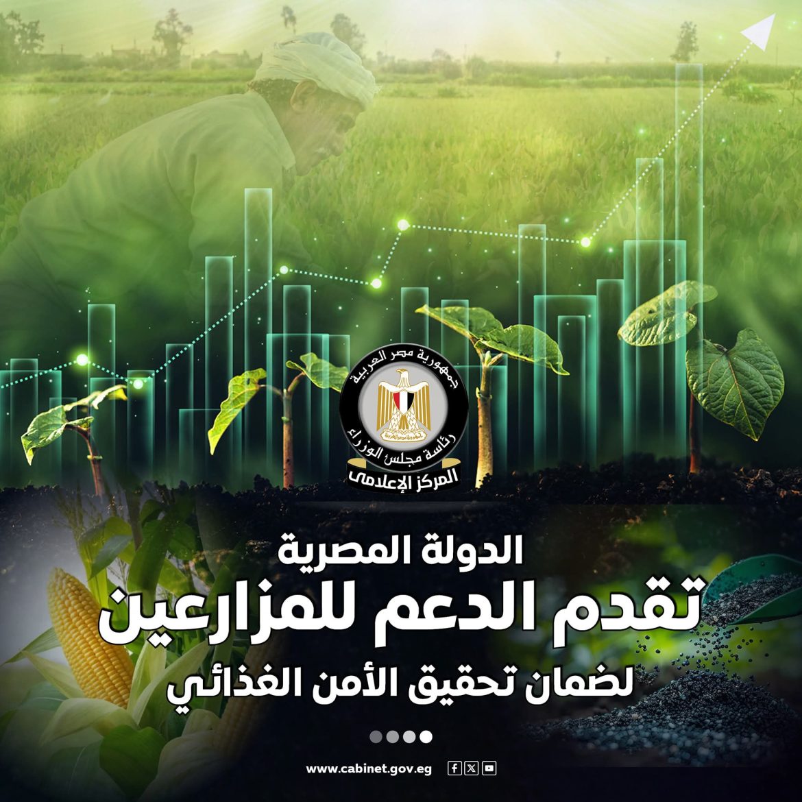 المركز الإعلامي لمجلس الوزراء: 70 مليار جنيه سنويًا لتوفير الأسمدة بأسعار عادلة