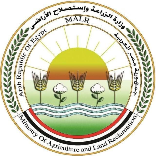 الزراعة تطلق الحملة القومية لتحصين الماشية ضد الحمى القلاعية والوادي المتصدع الزراعة تطلق الحملة القومية لتحصين الماشية ضد الحمى القلاعية والوادي المتصدع