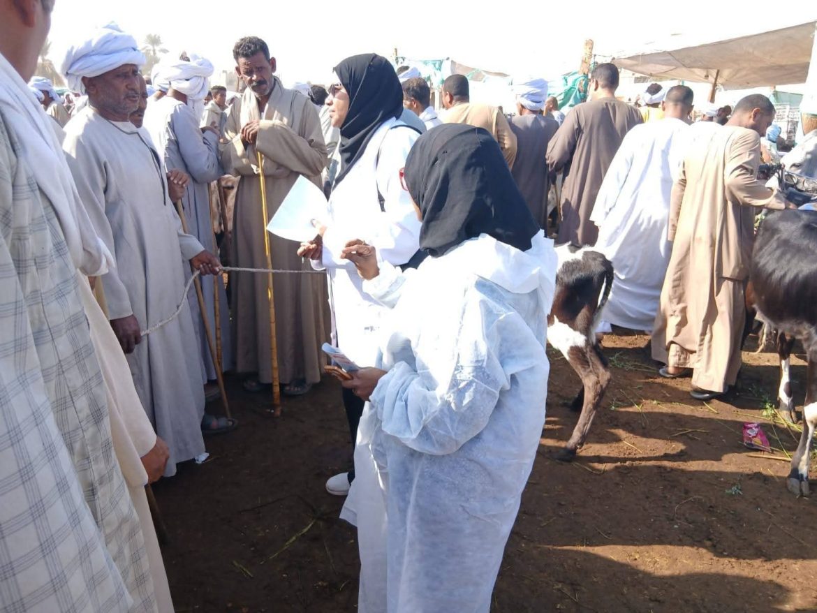 وزارة الزراعة: الغربية تتصدر المحافظات في عدد الحيوانات المحصنة حتى الآن وزارة الزراعة: الغربية تتصدر المحافظات في عدد الحيوانات المحصنة حتى الآن