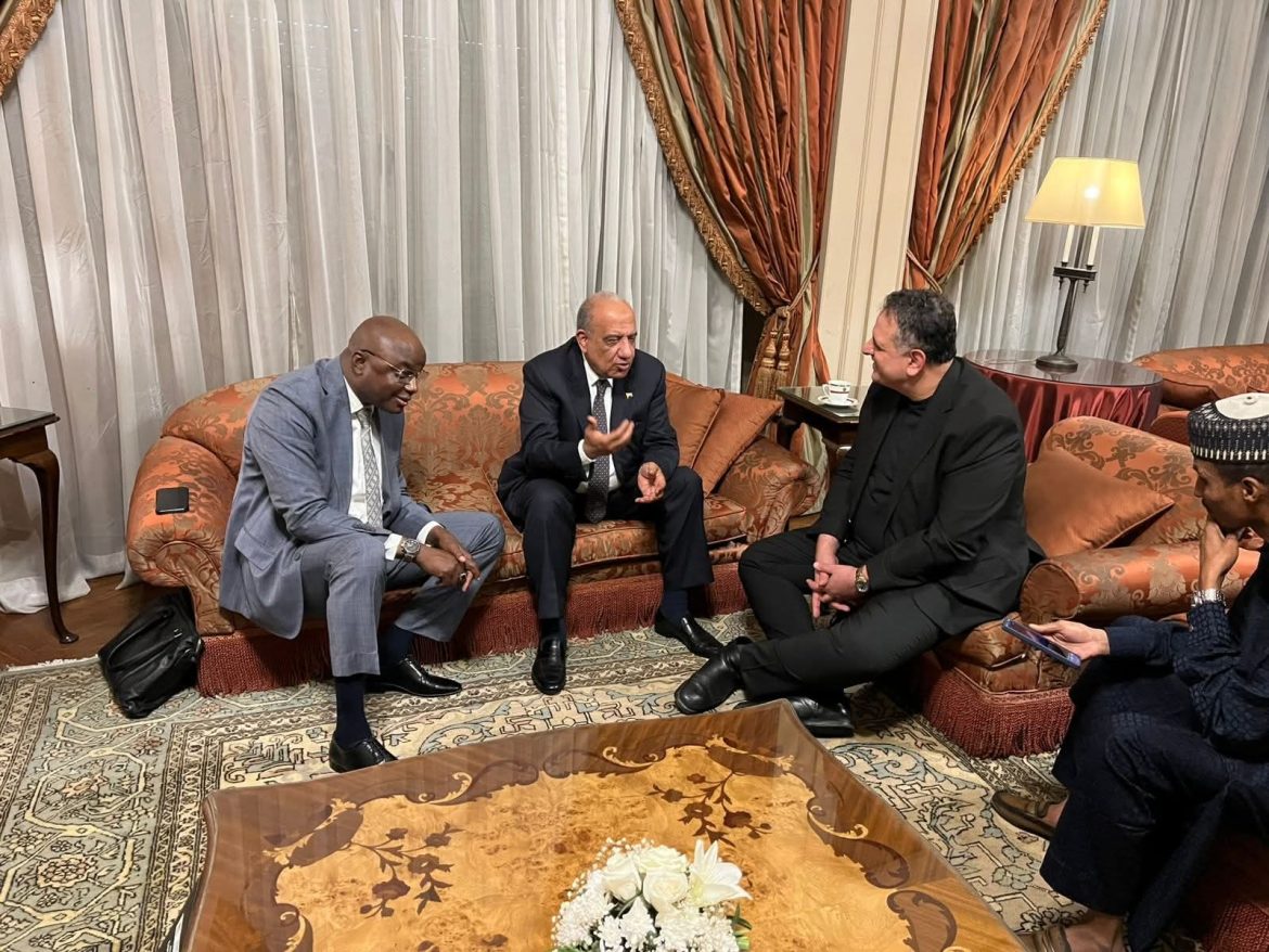 وزير الكهرباء يبحث سبل دعم التعاون في مختلف مجالات الكهرباء بين مصر وتشاد