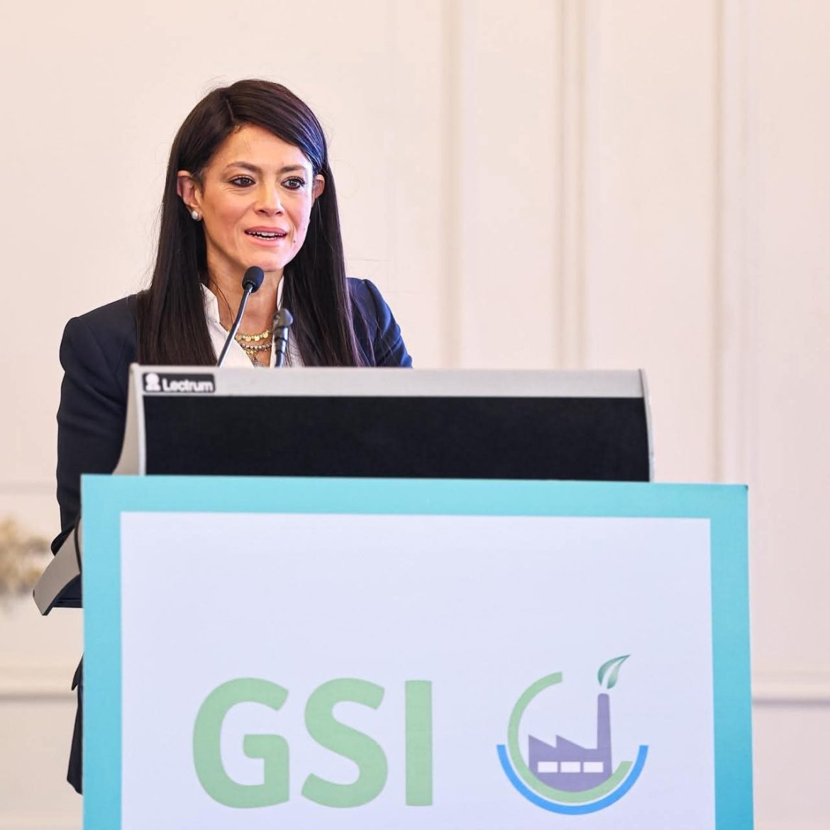 وزيرة التخطيط: 70% من الاستثمارات العامة خضراء بحلول عام 2030