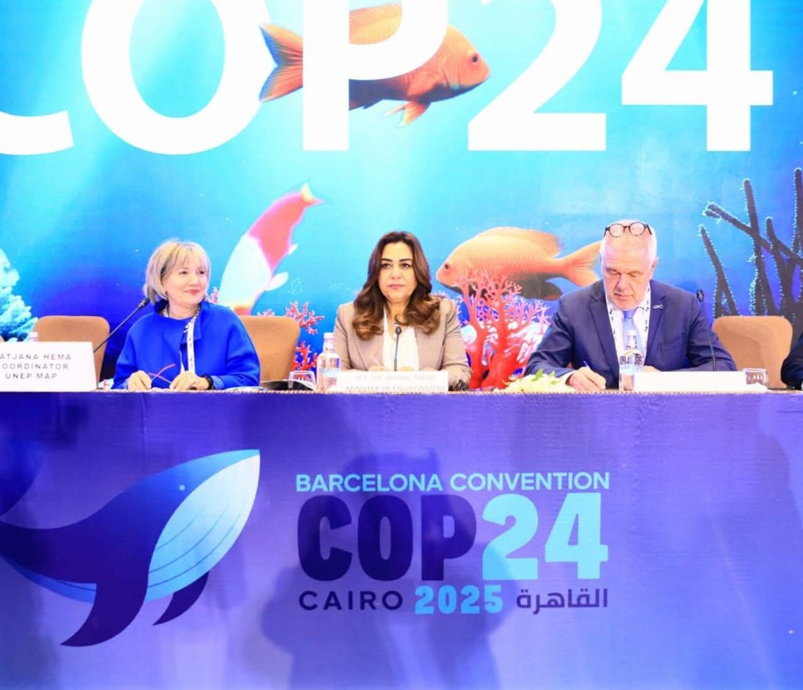 مصر تتسلم رئاسة  اتفاقية برشلونة COP24 لمدة عامين