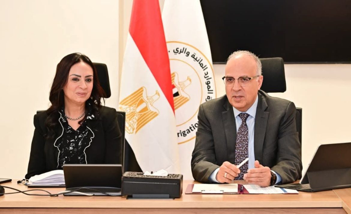 وزيرا الري والتضامن يبحثان إنتاج مشغولات يدوية في مجال تدوير ورد النيل