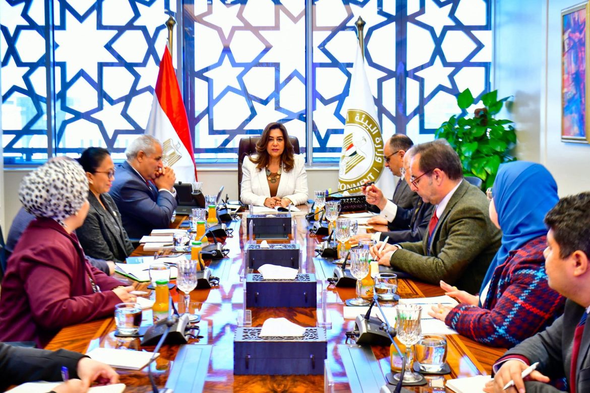 وزيرة التنمية المحلية تبحث التعاون في تنفيذ المشروعات البيئية مع منظمة الفاو