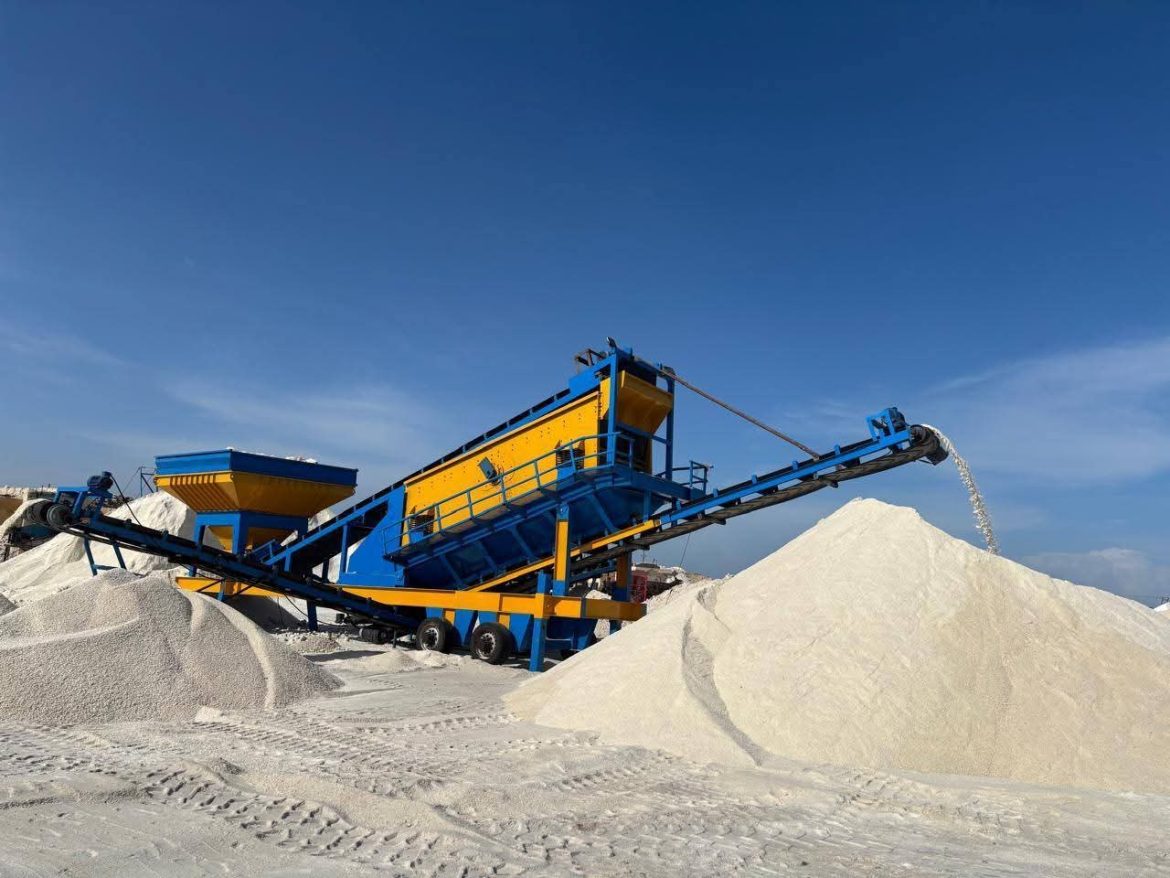 النصر للملاحات تُصدر أكبر شحنة ملح في تاريخها من ميناء العريش