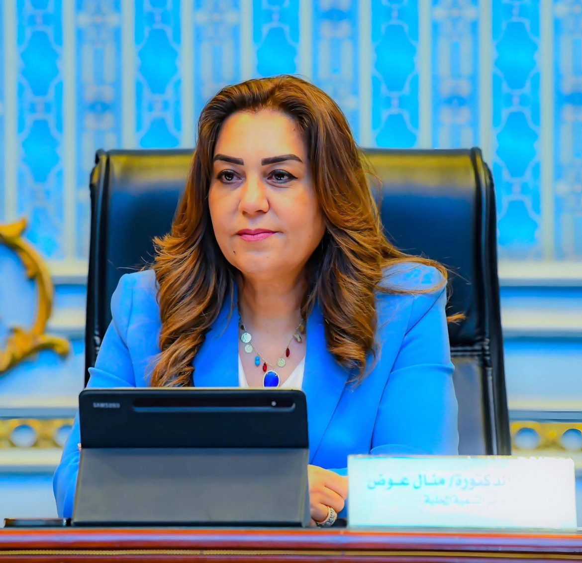 التنمية المحلية: إطلاق المنصة الوطنية لتقنين أراضي الدولة