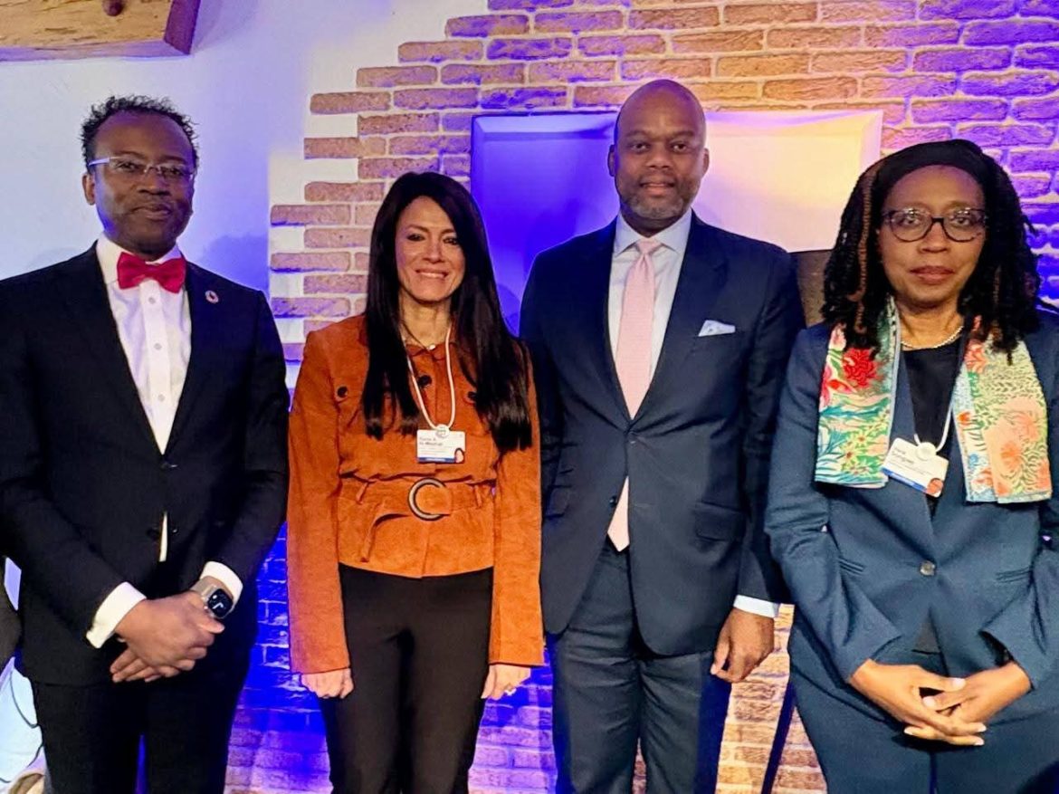 وزيرة التخطيط: مصر تبذل جهودًا  لدفع العلاقات الاقتصادية والتجارية الإفريقية 