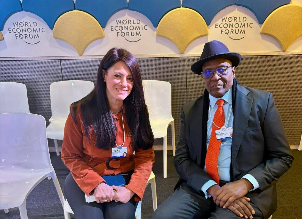 وزيرة التخطيط تبحث تعزيز العلاقات المشتركة مع شركاء التنمية 