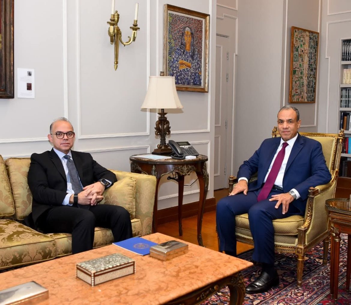 وزير الخارجية يبحث سبل جذب الاستثمارات الخارجية مع وزير الاستثمار 