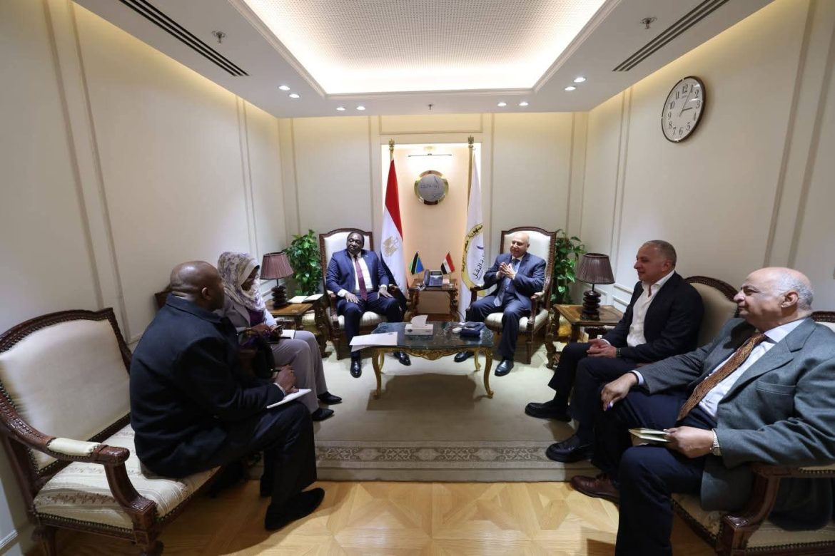 مصر وتنزانيا تبحثان خطًا ملاحيًا ومشروعات لوجستية مشتركة