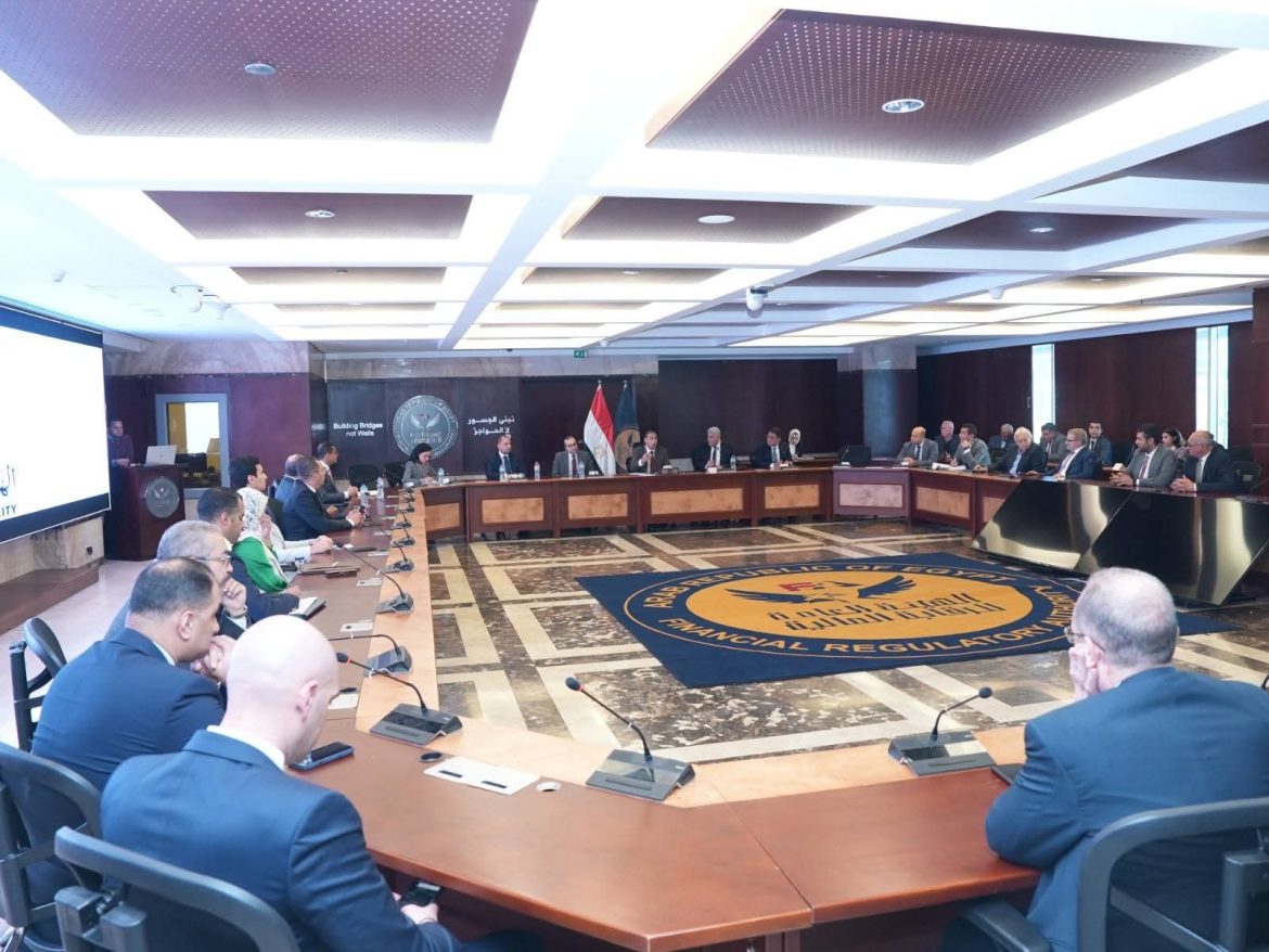 الرقابة المالية: 2.9 مليار جنيه تمويلات عقارية.. وخطة لتوسيع الشمول المالي