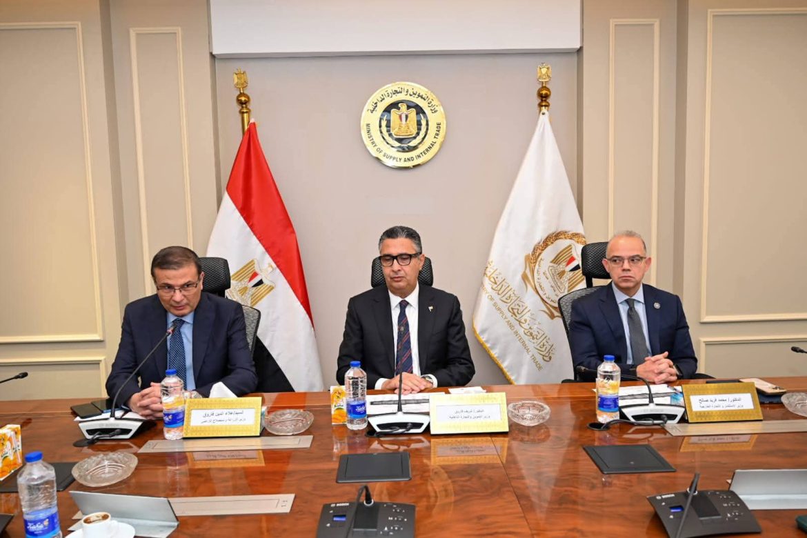 تكامل حكومي لتحقيق استقرار الأسواق ودعم التنمية الاقتصادية