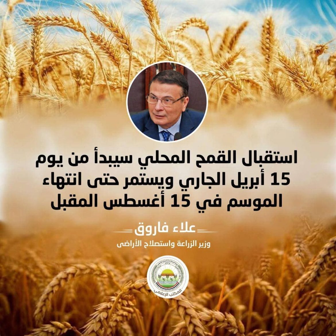 الزراعة تبدأ حصاد القمح وتصرف المستحقات خلال 48 ساعة.. 2500 جنيه للإردب