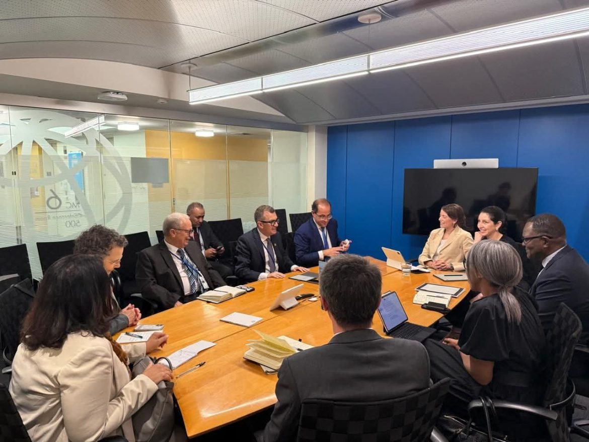 وزير التخطيط يبحث تفعيل مرفق ضمان تمويل البنية التحتية لجذب الاستثمارات الخاصة