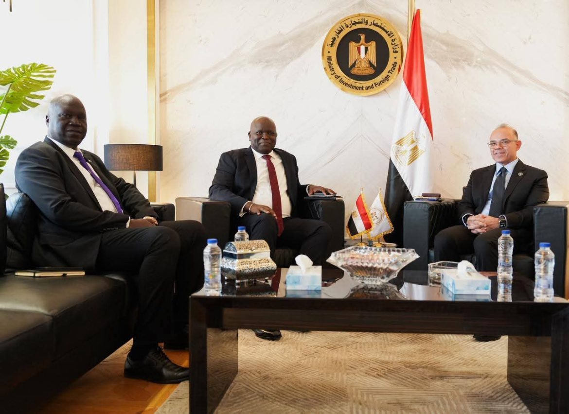 الاستثمار: تحركات لتعزيز الشراكة الاقتصادية بين القاهرة وجوبا