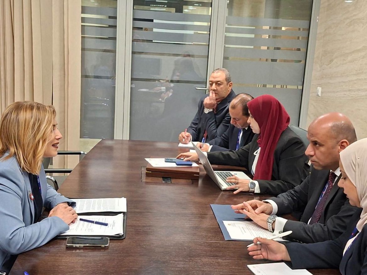 وزير العمل يبحث فتح أسواق عمل جديدة أمام الكفاءات الوطنية