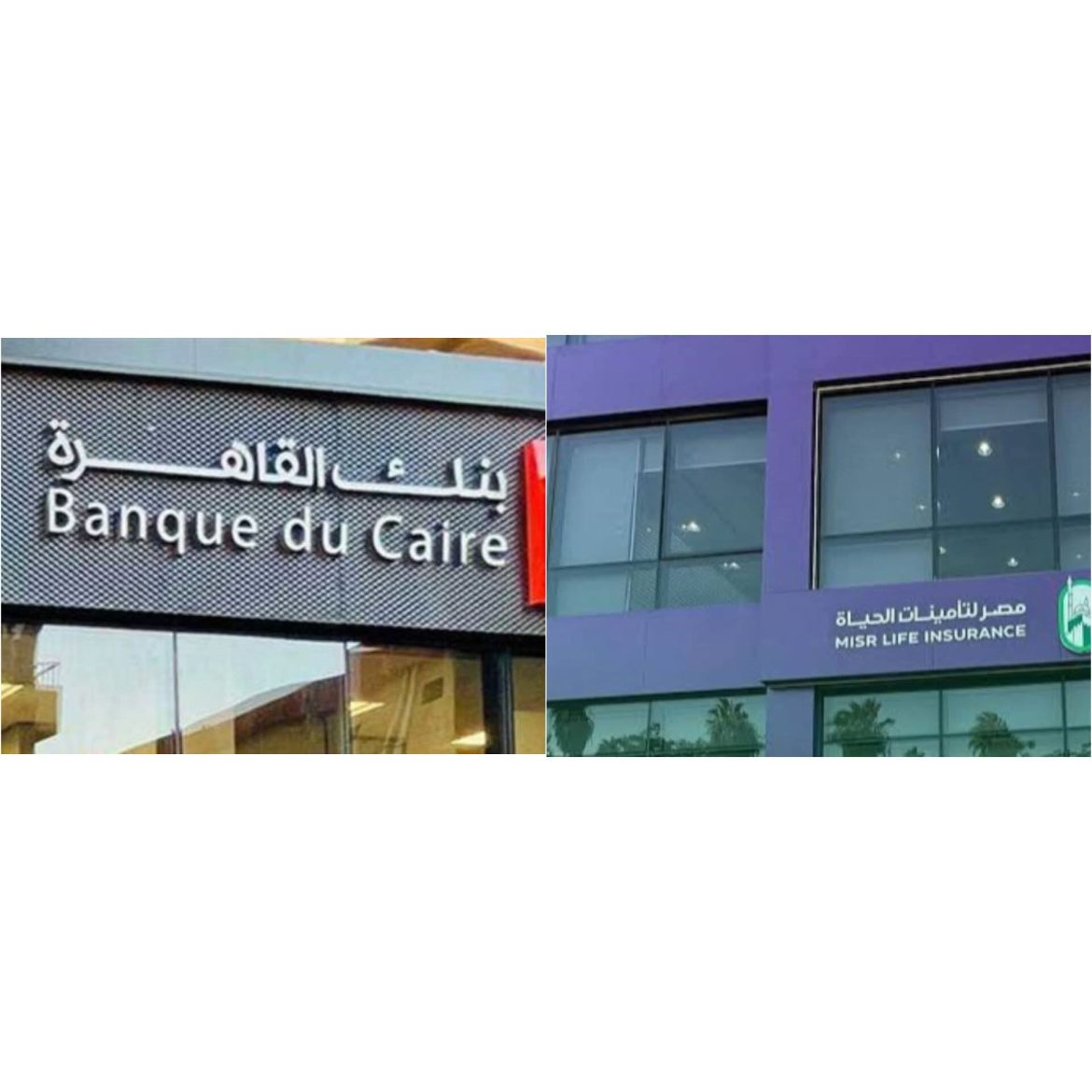 تقارير صحفية: استمرار إجراءات طرح مصر لتأمينات الحياة وإرجاء «بنك القاهرة»