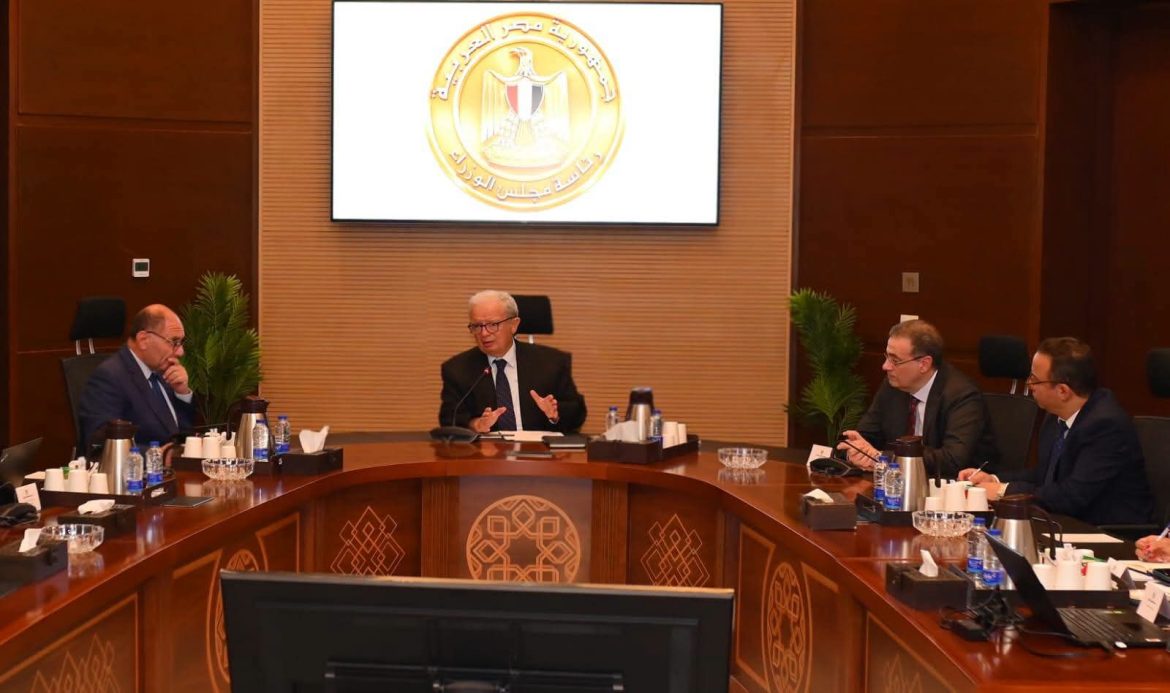 مصر تعيد هيكلة الجهاز الإداري.. لجنة حكومية تراجع الدمج والإلغاء والإنشاء