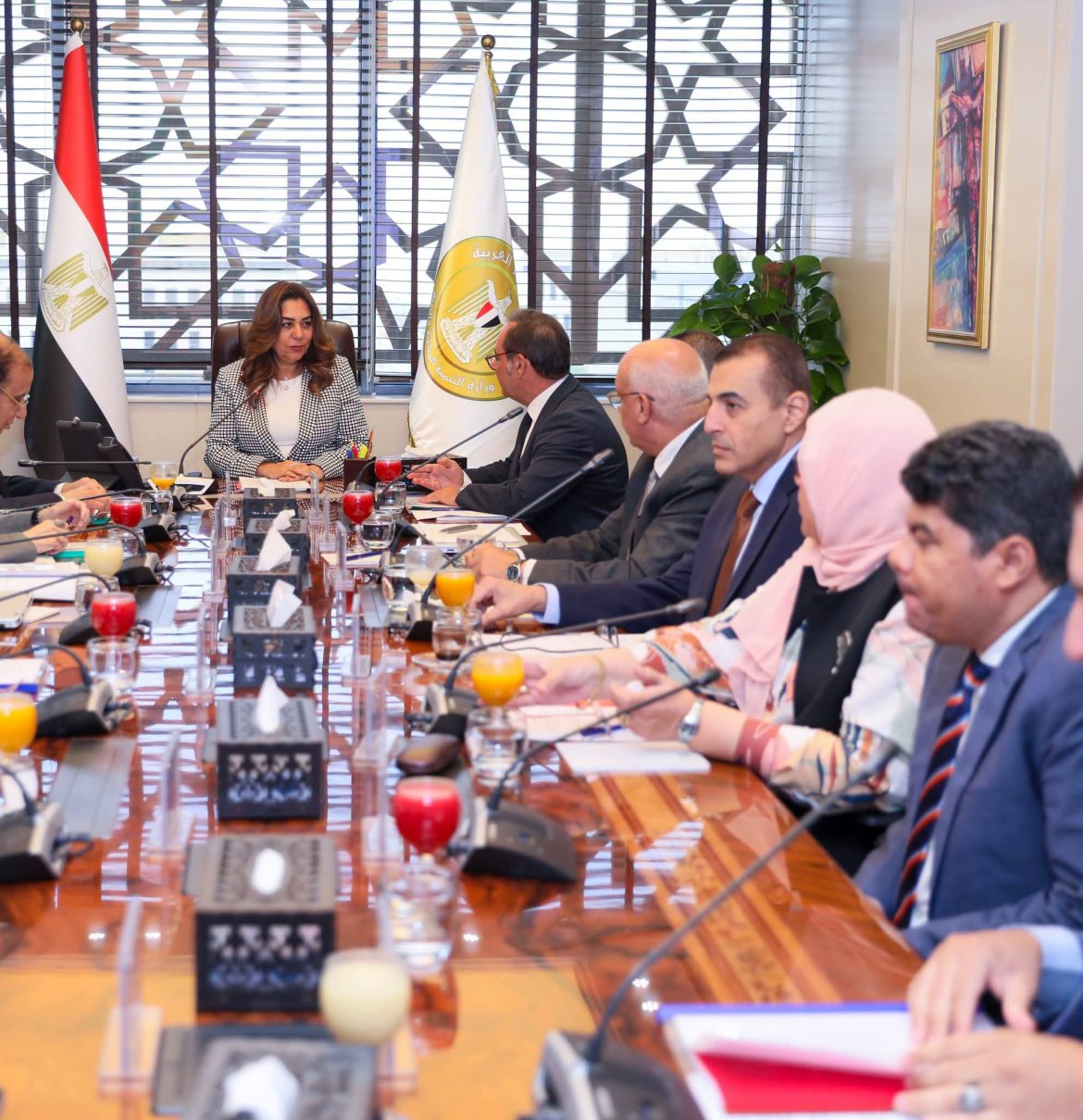 وزارة البيئة: صندوق حماية البيئة يدعم المشروعات الخضراء والشراكات الوطنية