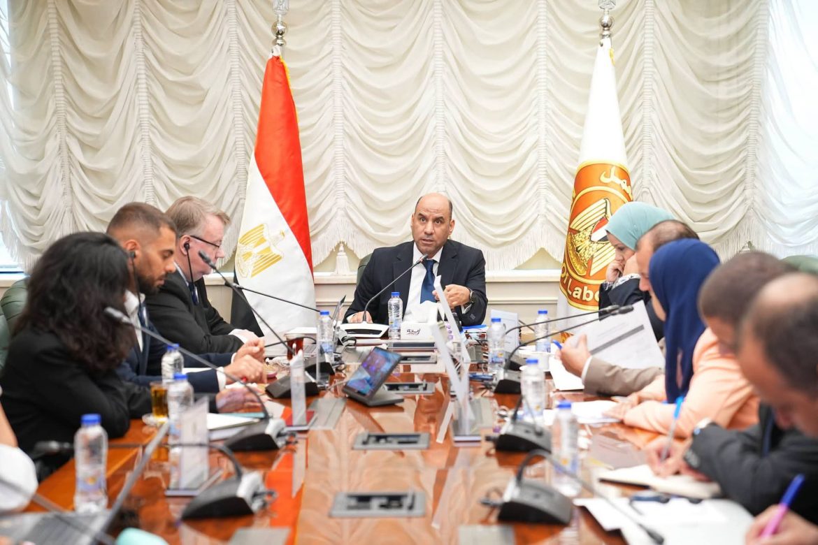 مصر ومنظمة العمل الدولية تطلقان برنامج «العمل اللائق» 2027