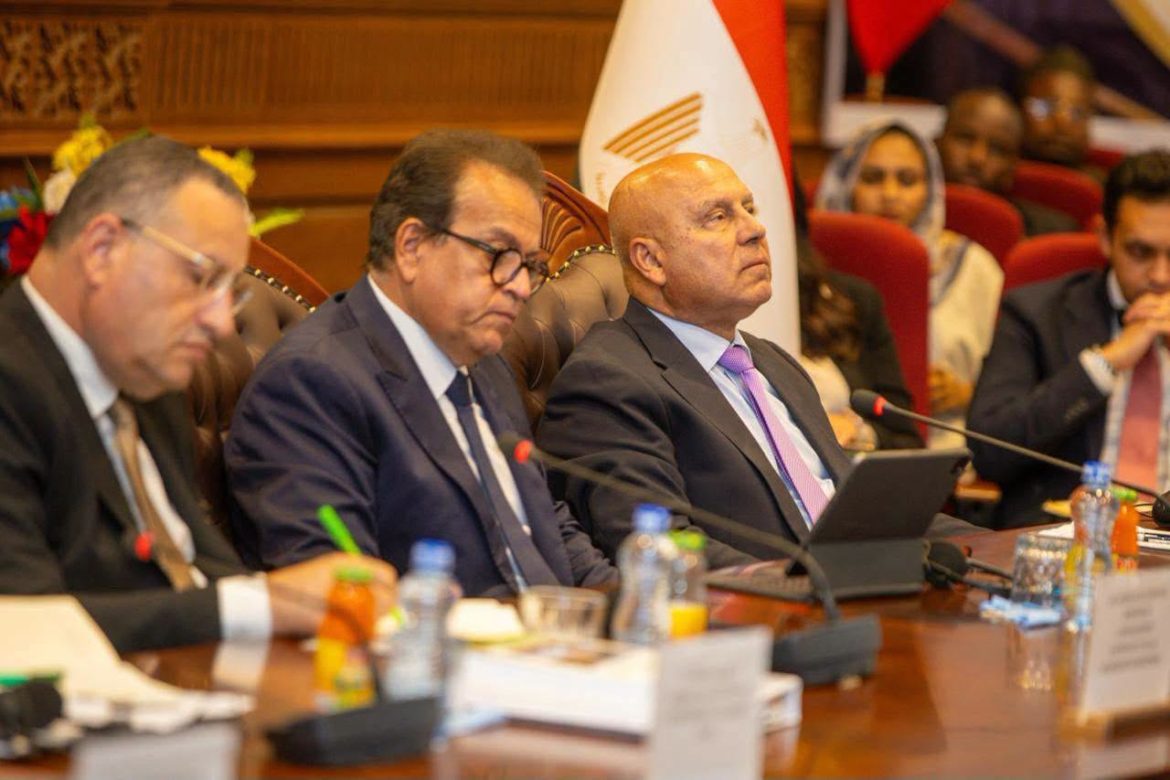 وزارة النقل: تحركات مصرية لتعزيز التكامل الاقتصادي مع تشاد
