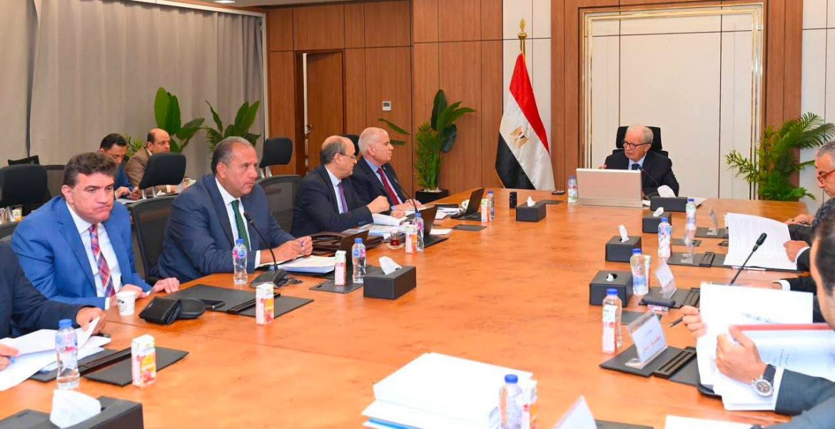 نائب رئيس الوزراء: 30 مليار جنيه إيرادات مستهدفة للقابضة الكيماوية
