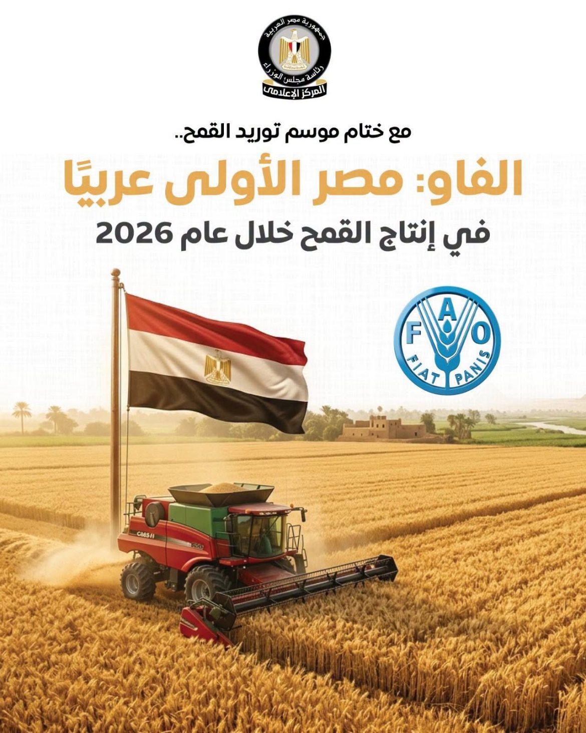 الفاو: مصر الأولى عربيًا في إنتاج القمح خلال 2026